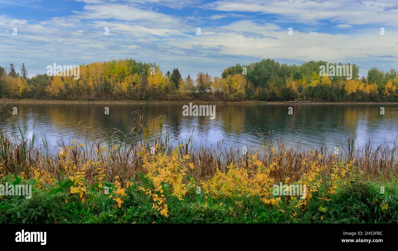 Fall foliage color along the Rainy River, Rainy river, Ontario, Canada ...