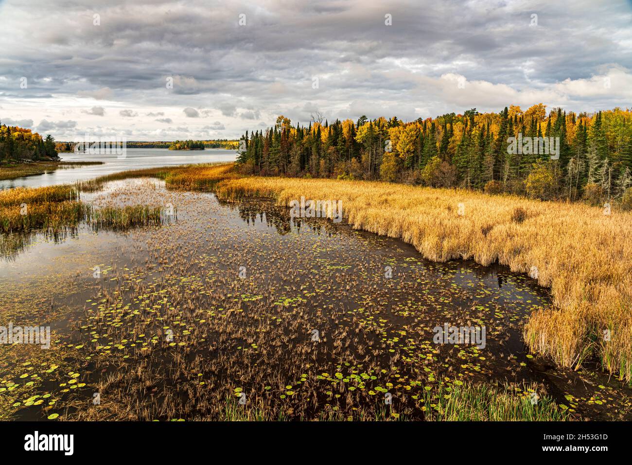 Fall foliage color along Highway 71 near Sioux Narrows, Ontario, Canada