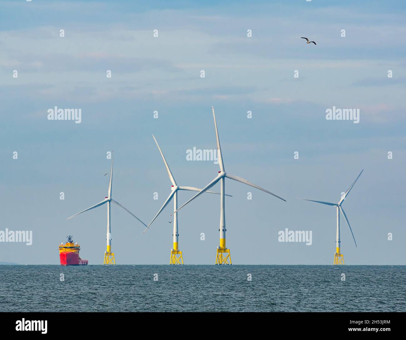 Offshore supply ships anchored by wind turbines in offshore wind farm seen from Aberdeen Bay, North Sea, Scotland, UK Stock Photo