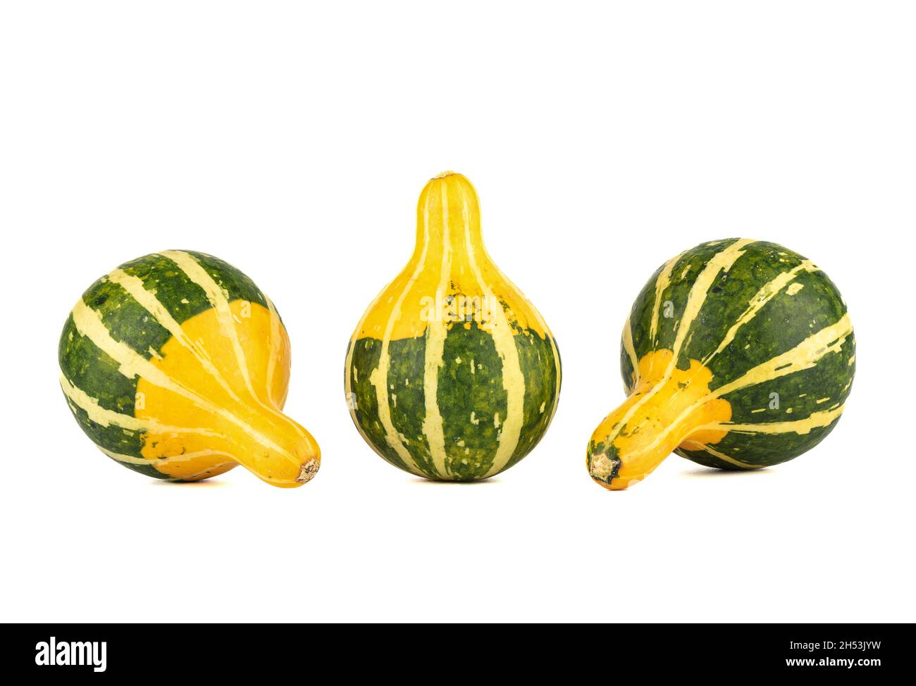Three small striped decorative pumpkins isolated on a white background. Copy space. Stock Photo