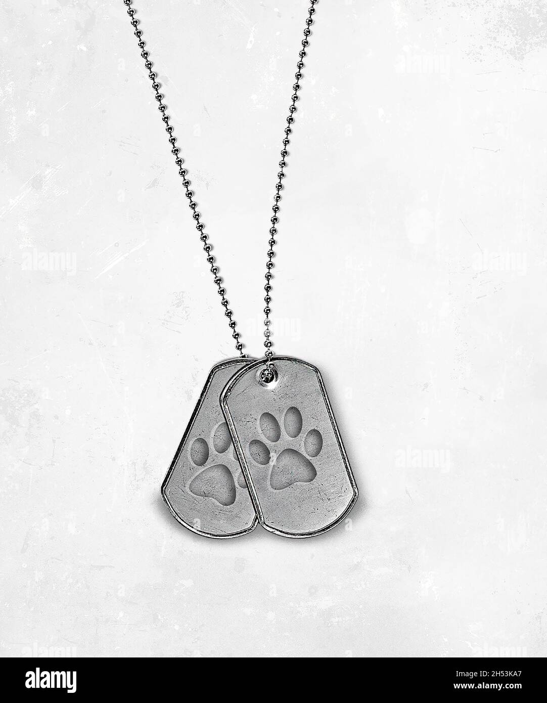 Military dog tags with dog paw print design isolated on soft white