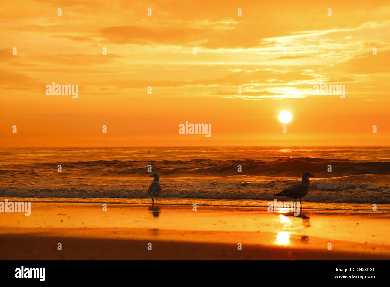 Sunset on the Beach Stock Photo - Alamy