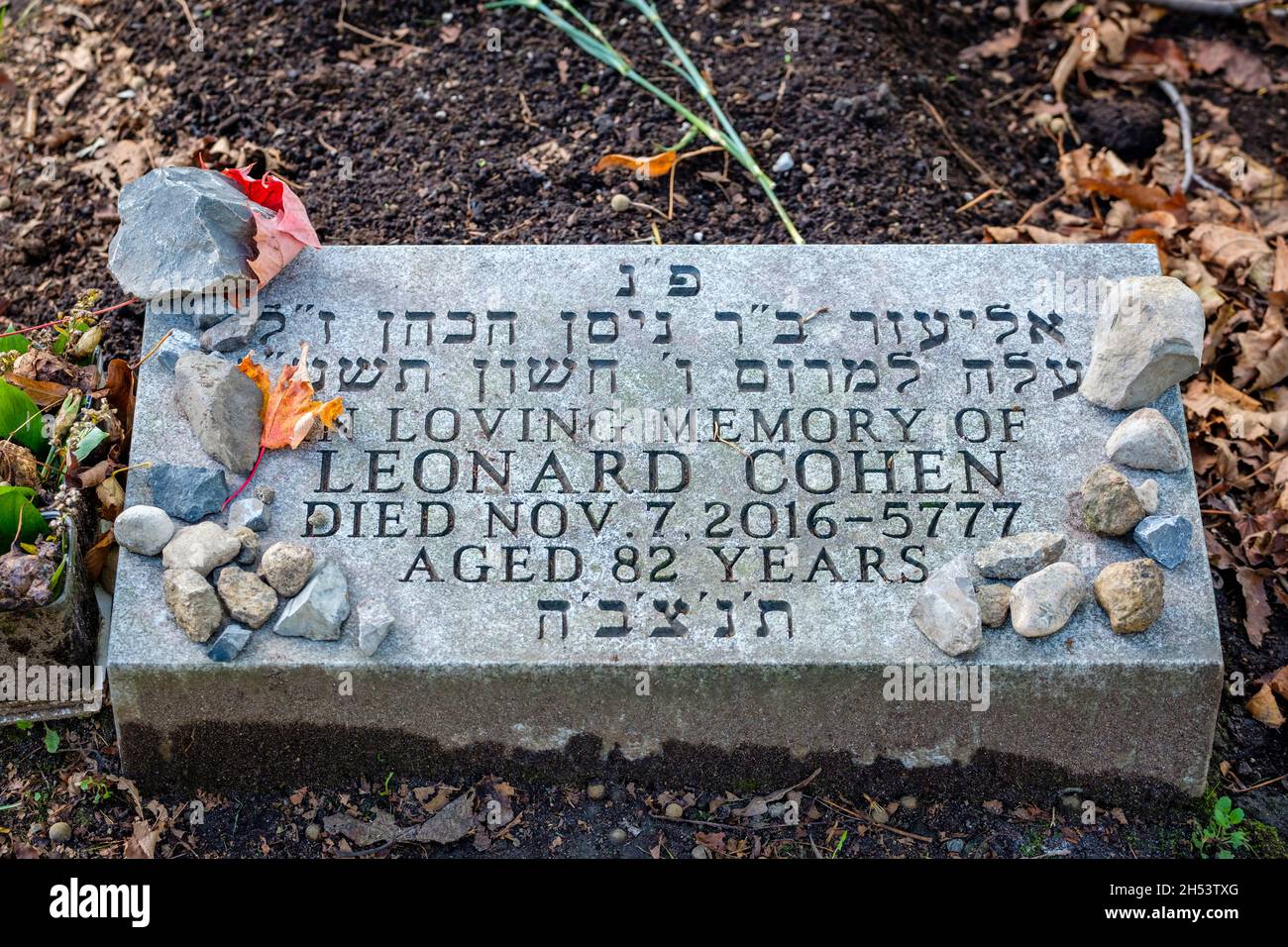 Canadian singer-songwriter Leonard Cohen tombstone, Congregation Shaar Hashomayim Cemetery, Mont Royal, Montreal, Quebec, Canada Stock Photo