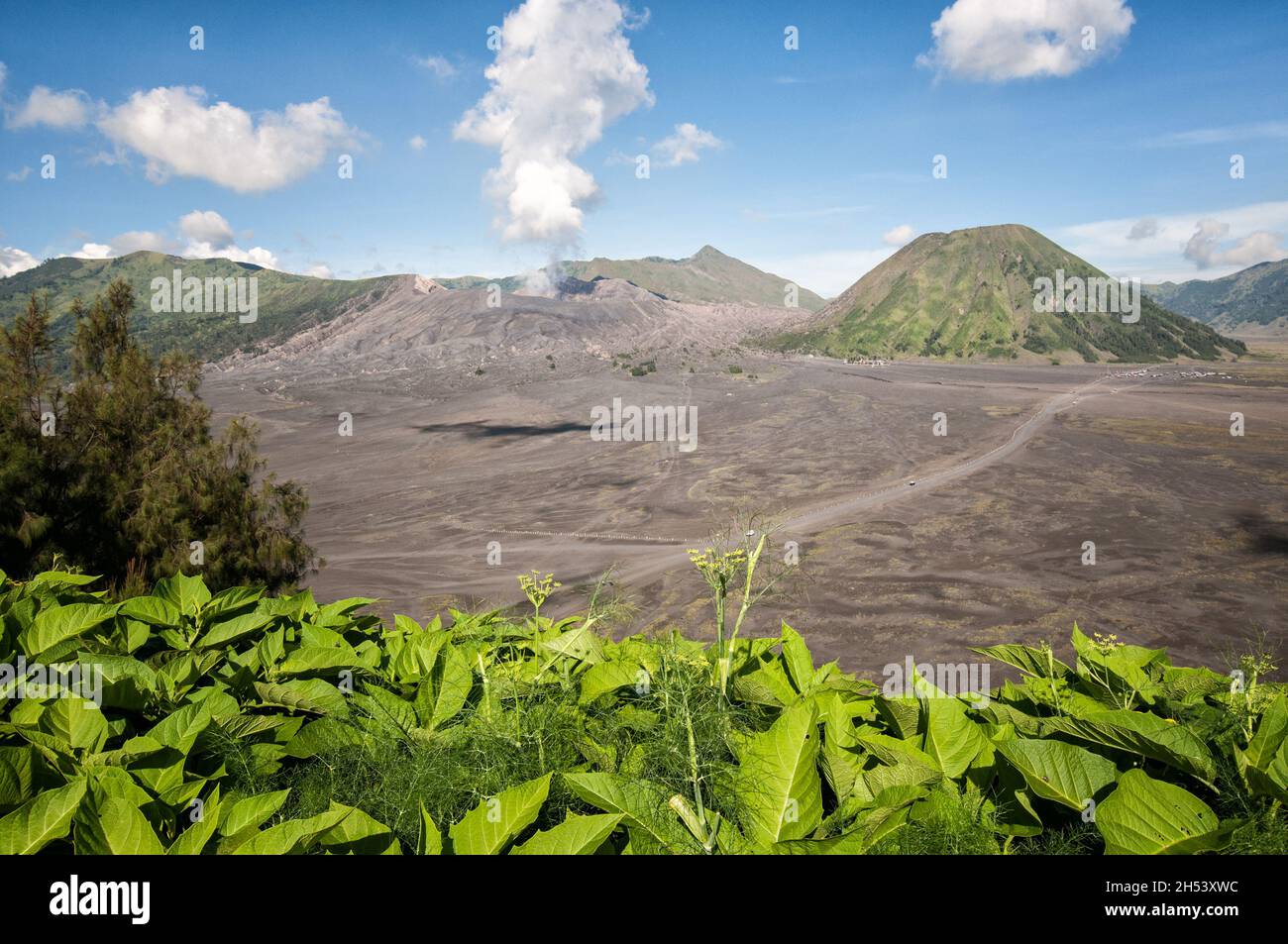 Bromo and Batok volcanoes in Tengger Caldera from Cemoro Lawang, East Java, Indonesia Stock Photo