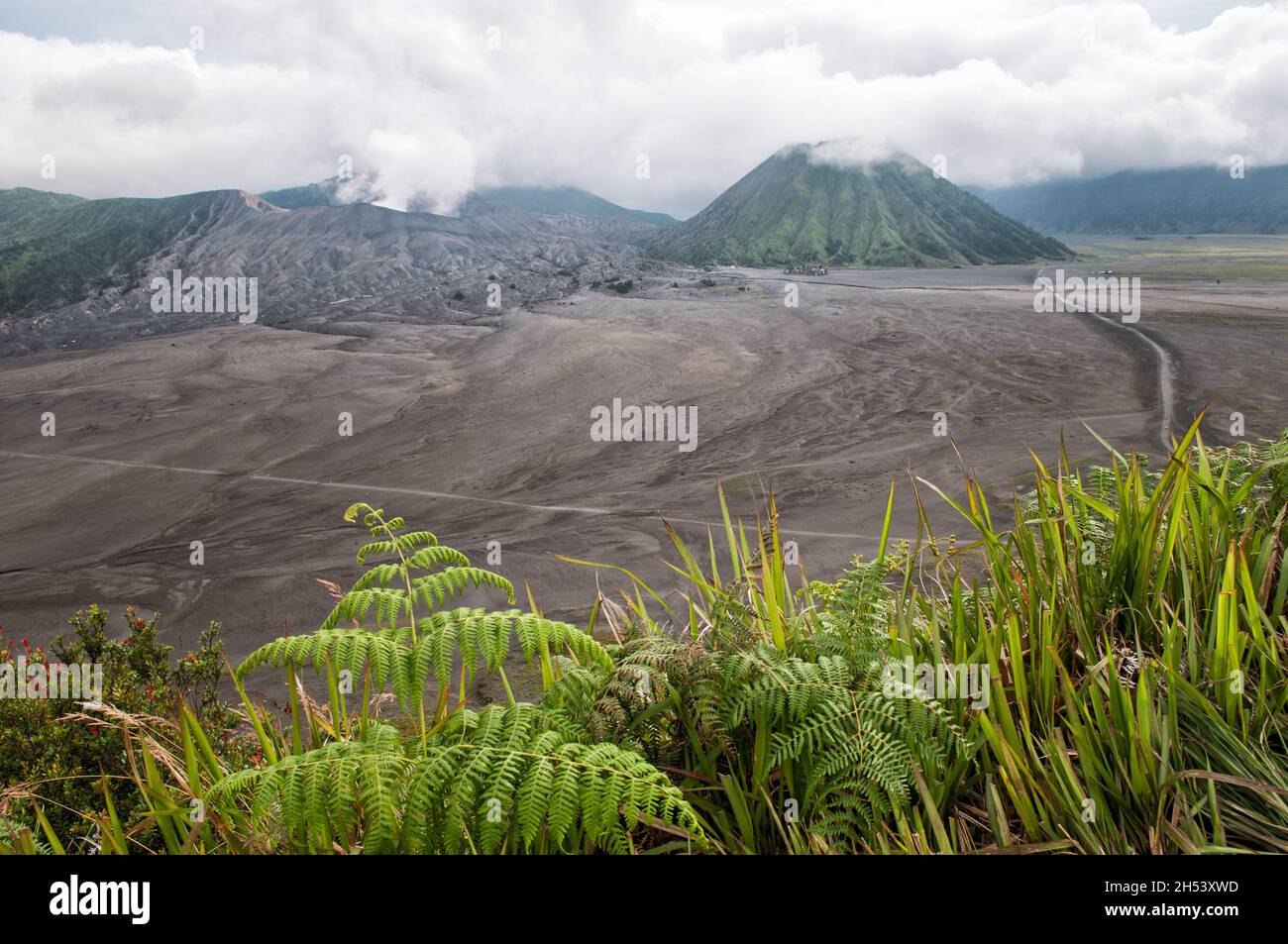 View of Bromo and Batok volcanoes from Cemoro Lawang, Bromo Tengger Semeru National Park, East Java, Indonesia Stock Photo