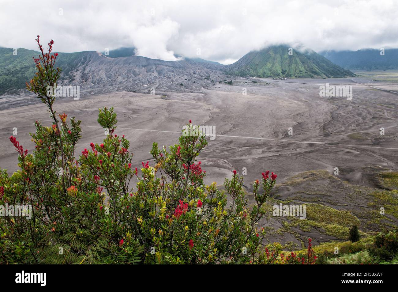 Bromo and Batok volcanoes from Cemoro Lawang, Bromo Tengger Semeru National Park, East Java, Indonesia Stock Photo