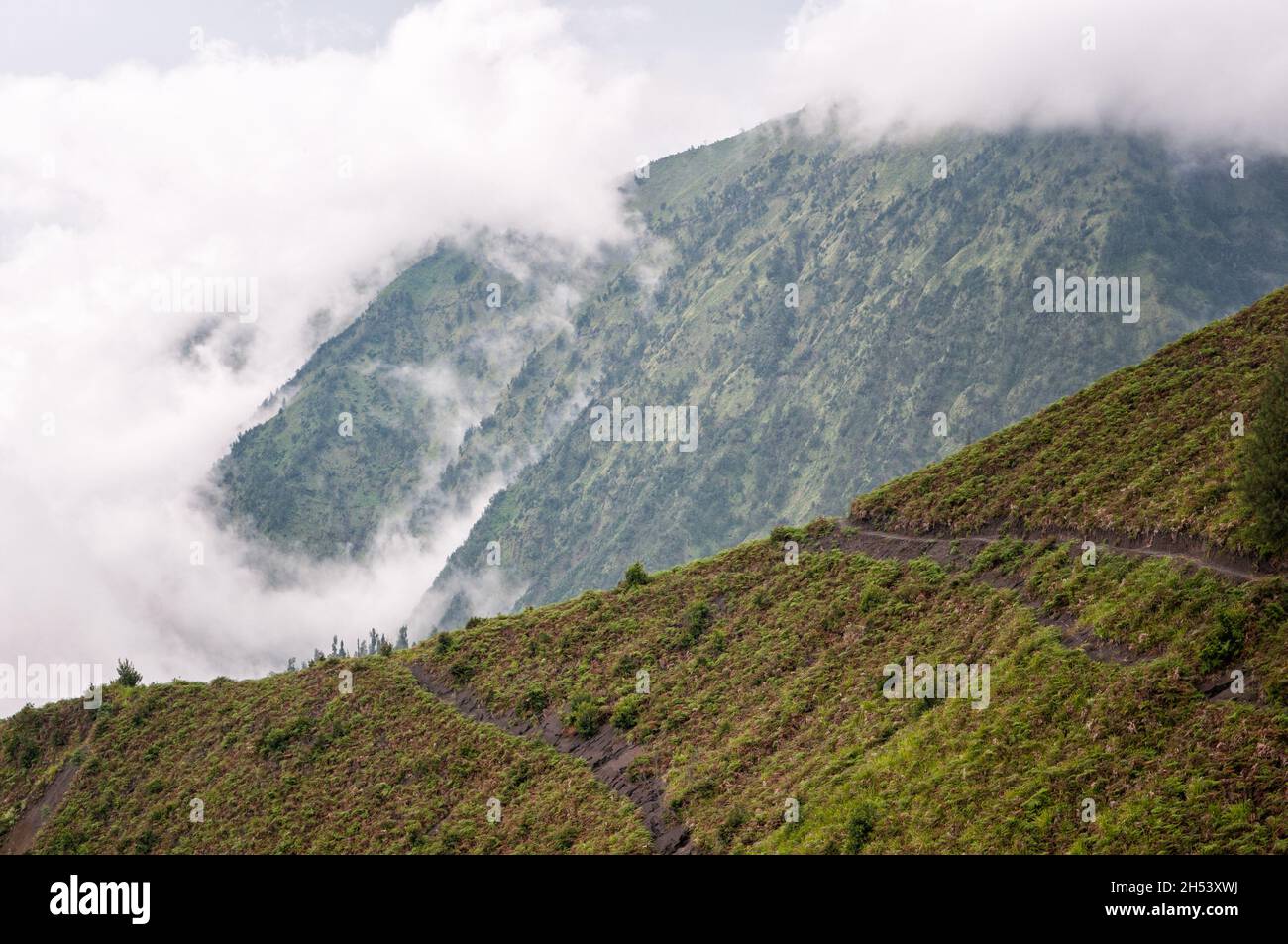 Mist and mountain near Cemoro Lawang, East Java, Indonesia Stock Photo