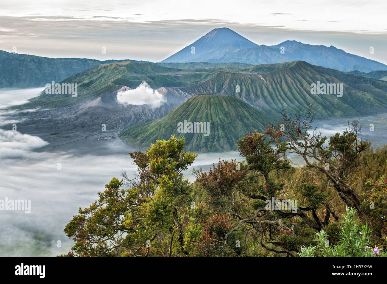 Volcanoes of Bromo-Tengger-Semeru National Park, East Java, Indonesia Stock Photo