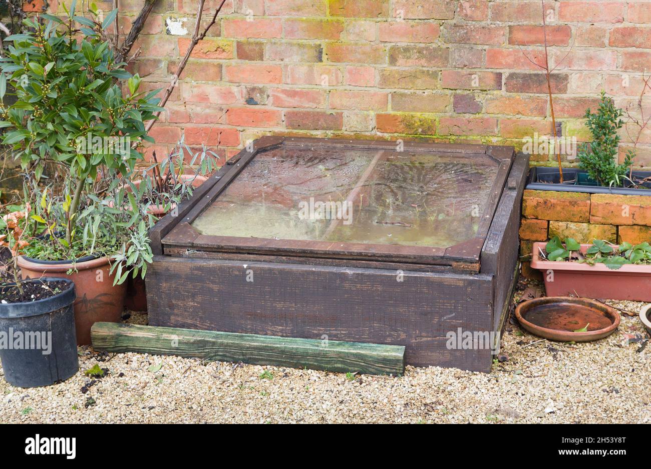Wooden cold frame (coldframe) in an traditional English garden in winter, UK Stock Photo