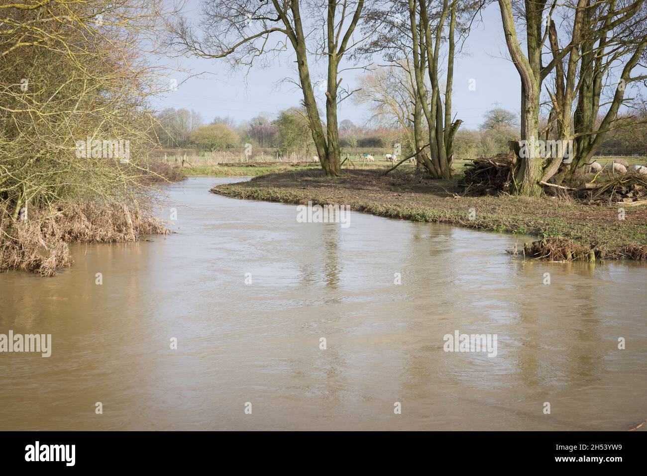 Swollen meandering river with high water level in countryside, Buckinghamshire, UK Stock Photo