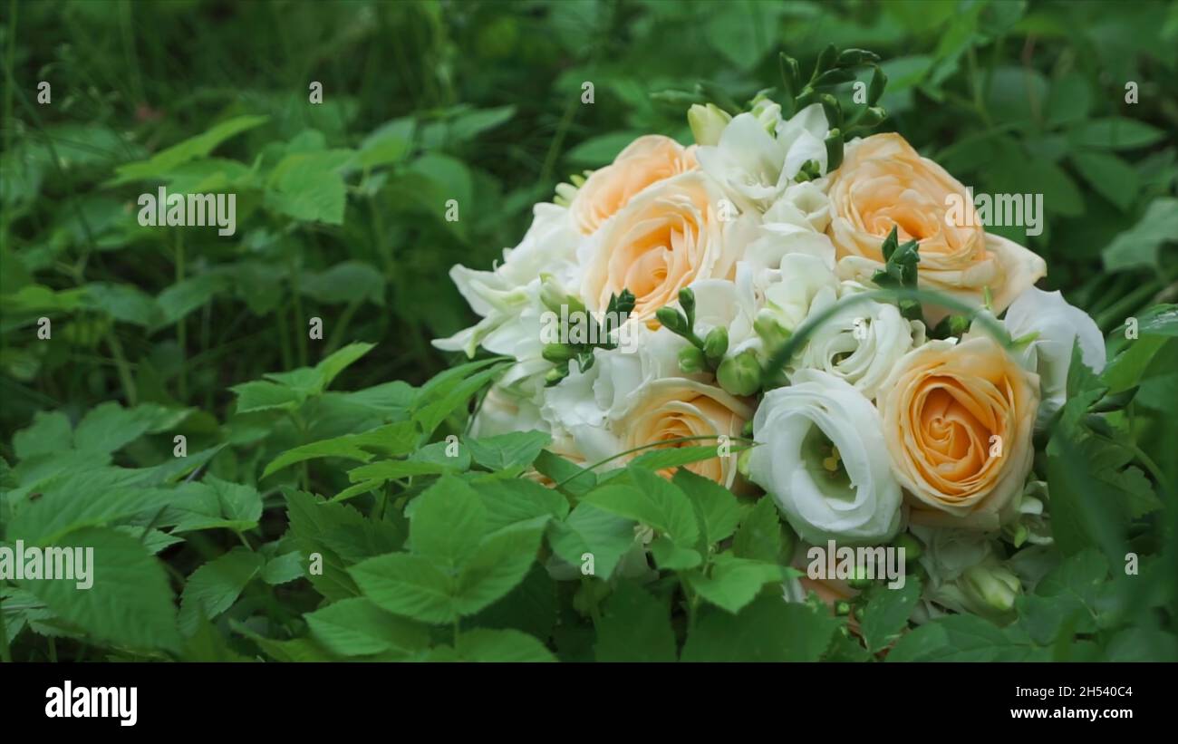 Bouquet of beautiful roses on the green grass background. Clip. A bouquet of roses in the grass. Stock Photo