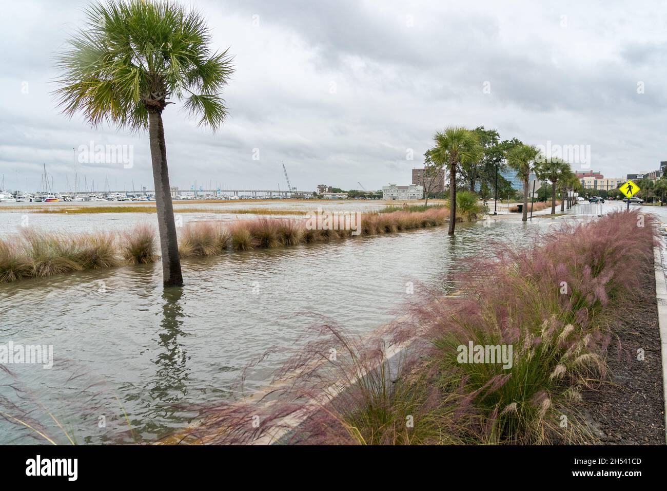 Charleston, United States. 06th Nov, 2021. Lockwood Road in the