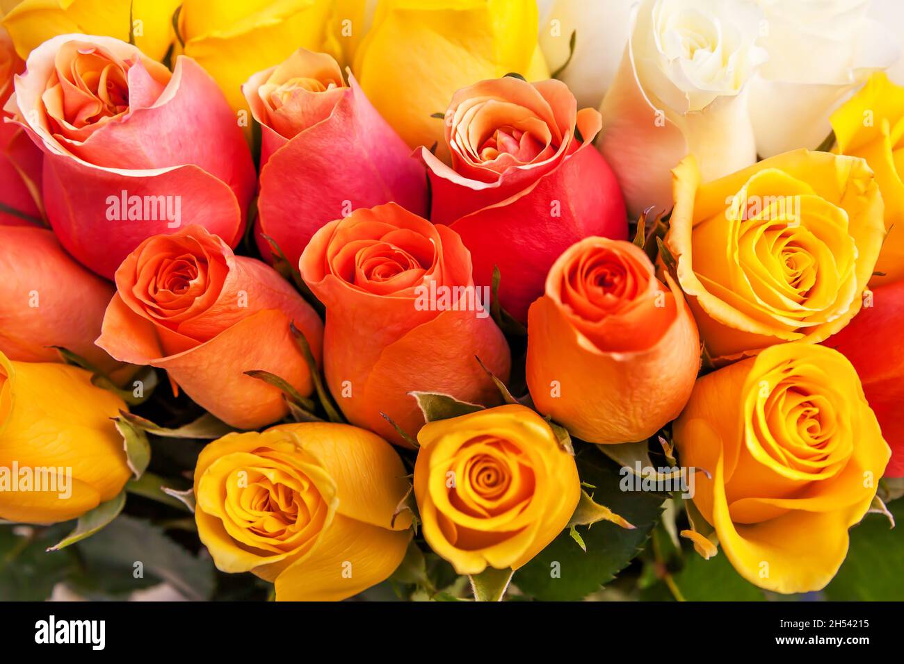 Bouquet yellow orange roses hi-res stock photography and images - Alamy