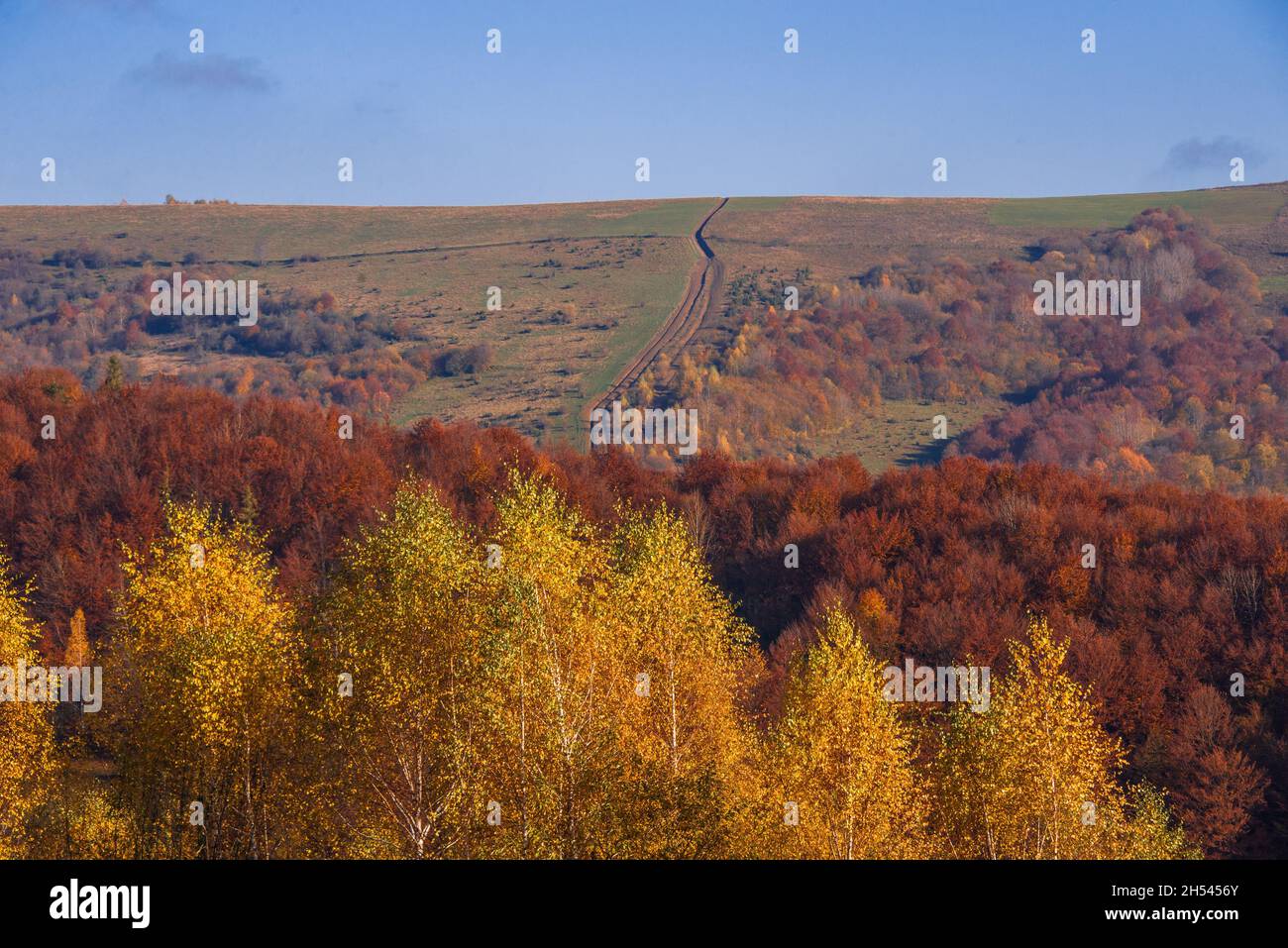 View of hills of Water Dividing ridge covered in red, orange and yellow ...