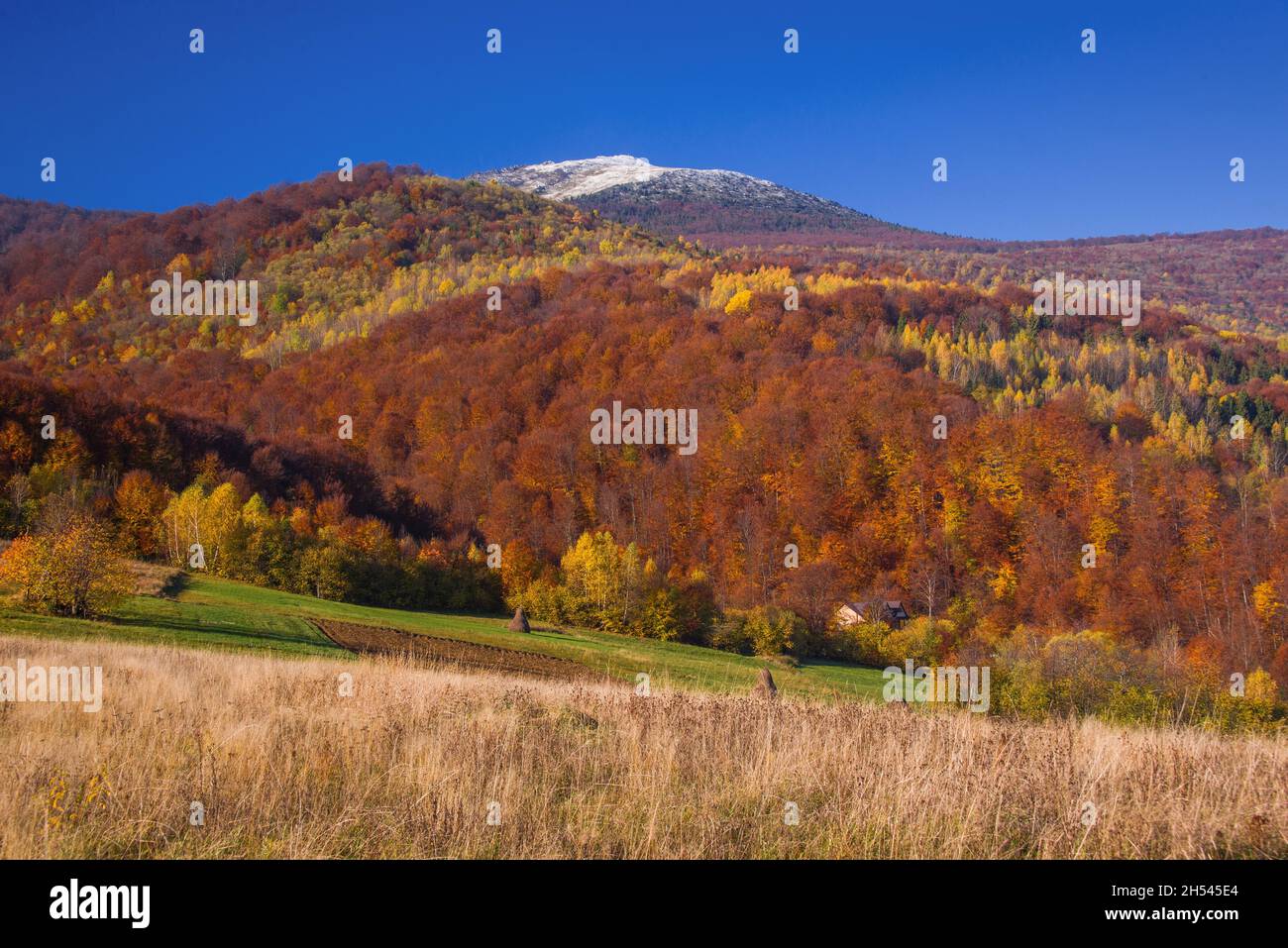 View of hills of Water Dividing ridge covered in red, orange and yellow ...