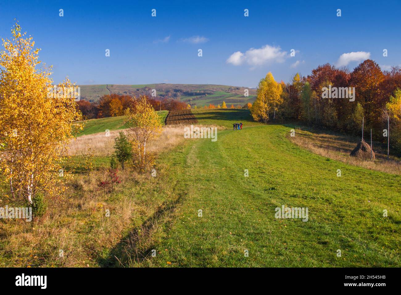 View of hills of Water Dividing ridge covered in red, orange and yellow ...