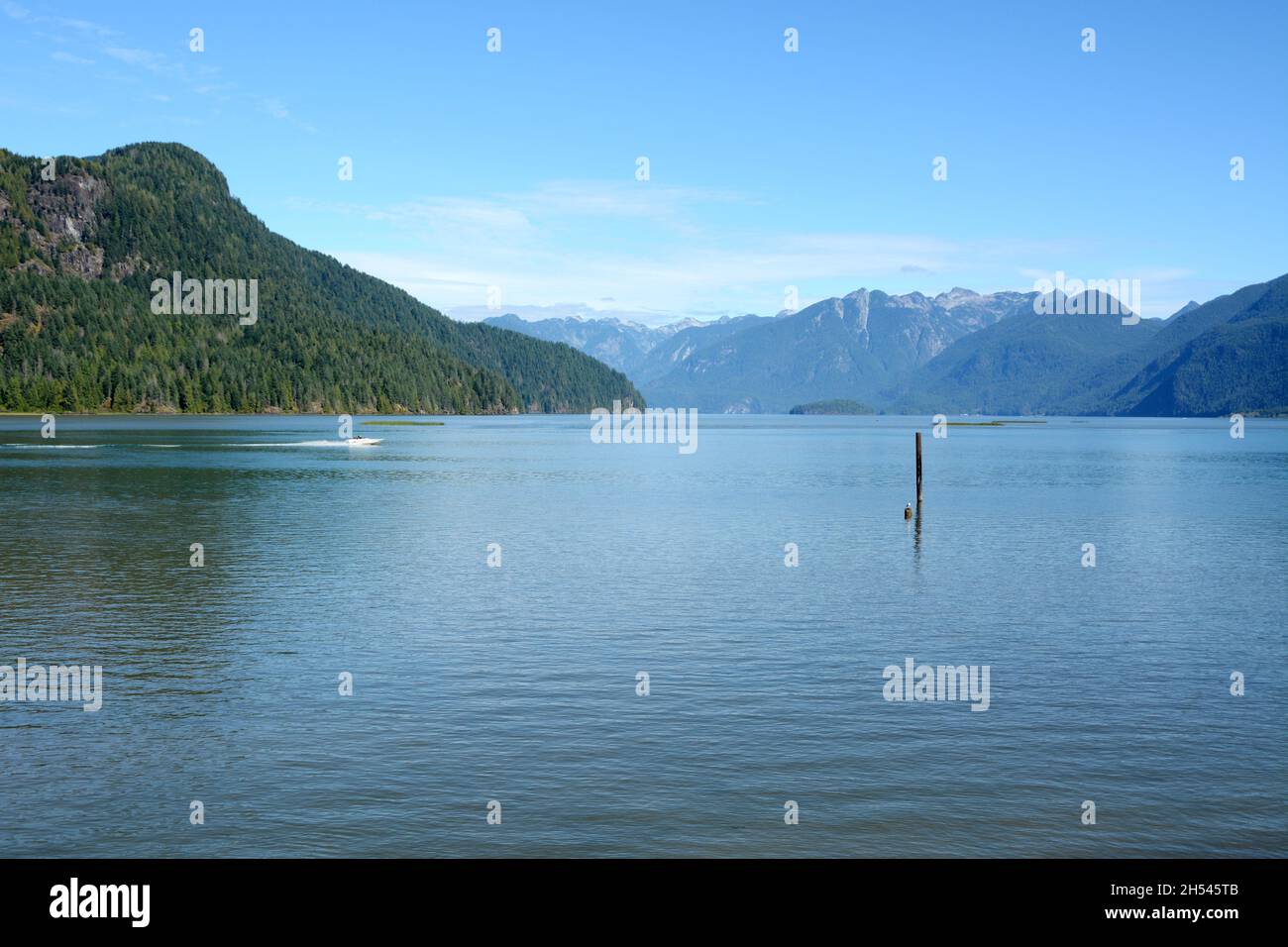 A motorboat on Pitt Lake, one of the world's largest tidal lakes, and