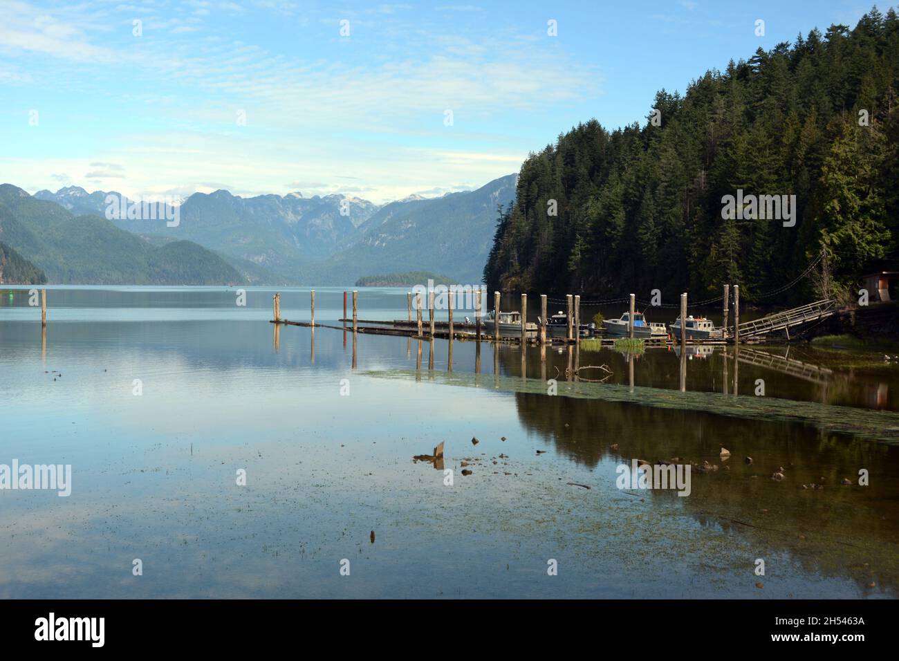 A boat dock on Pitt Lake, one of the world's largest tidal lakes, and the mountains of the Garibaldi Range, Pitt Meadows, British Columbia, Canada. Stock Photo