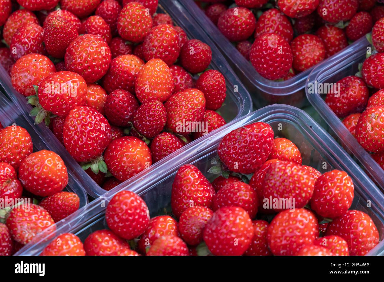 fresh strawberry background berries in baskets at market Stock Photo ...