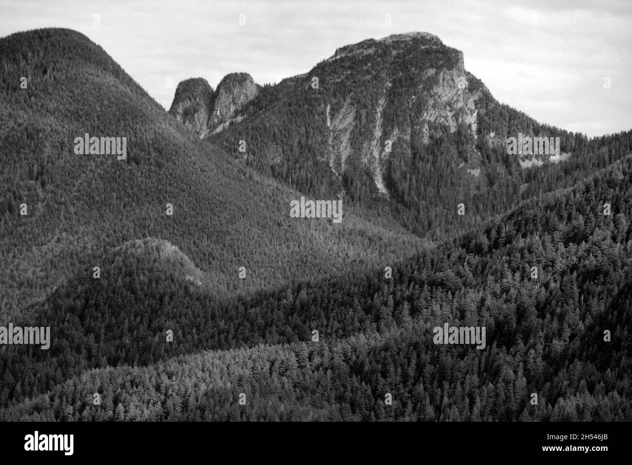 The temperate rainforest and Coast Mountain peaks of Golden Ears Provincial Park, near Maple Ridge, British Columbia, Canada. Stock Photo