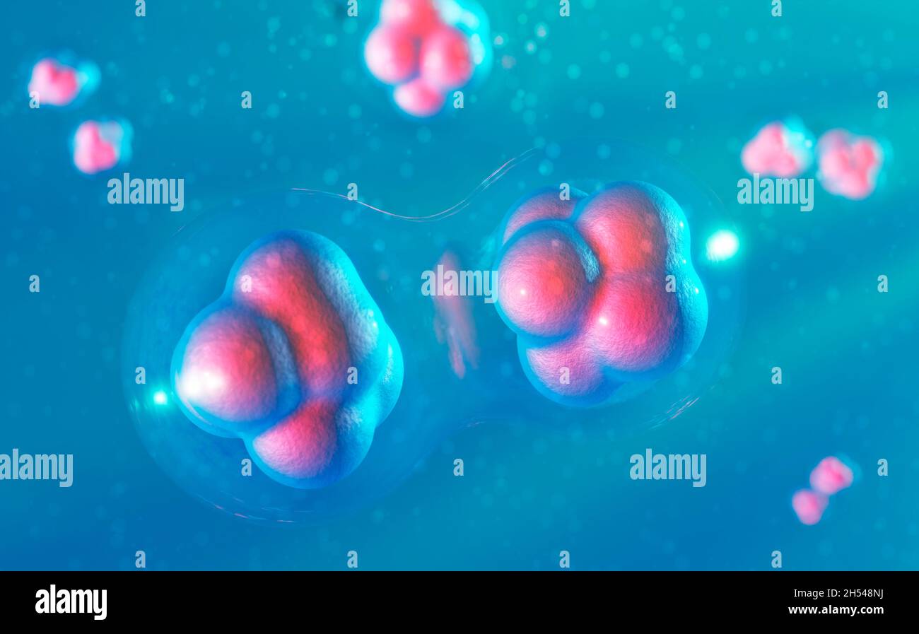 Stem cells, illustration Stock Photo - Alamy