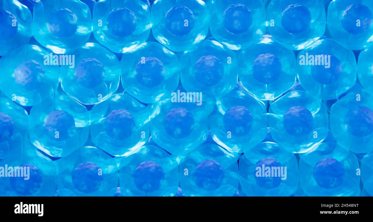 Stem cell culture, illustration Stock Photo - Alamy