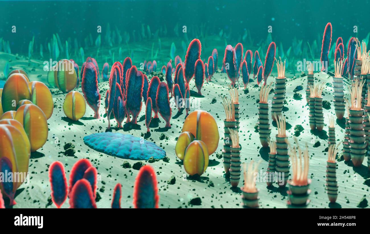 Ediacaran life forms on the seafloor Stock Photo