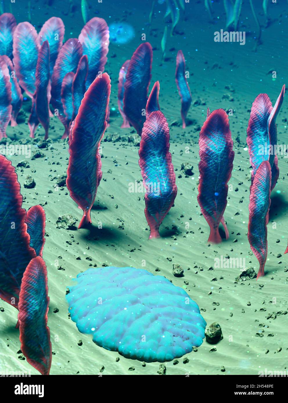 Ediacaran life forms on the seafloor Stock Photo