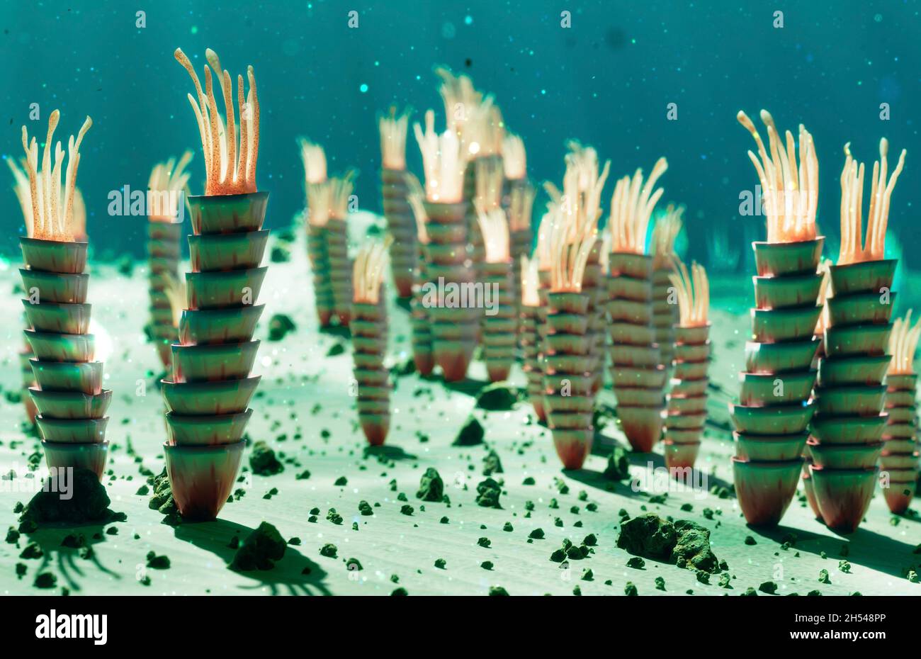 Ediacaran life forms on the seafloor Stock Photo