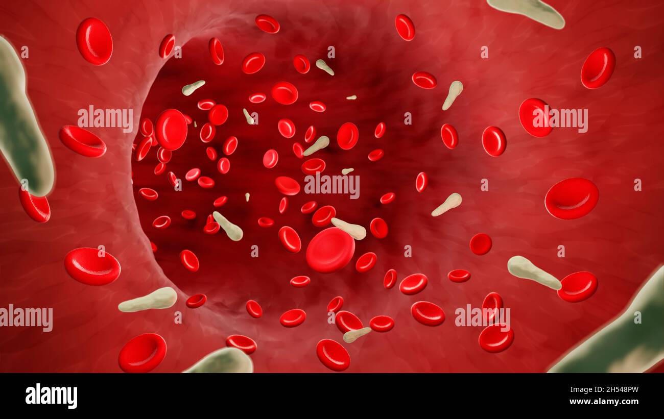 Tetanus bacteria in blood, illustration Stock Photo
