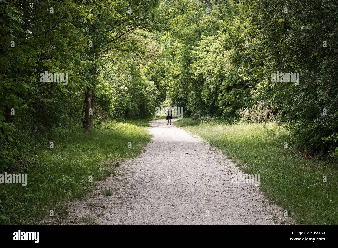 View at the hiking person on the trail along  Grand River in Kitchener, Ontario. Stock Photo