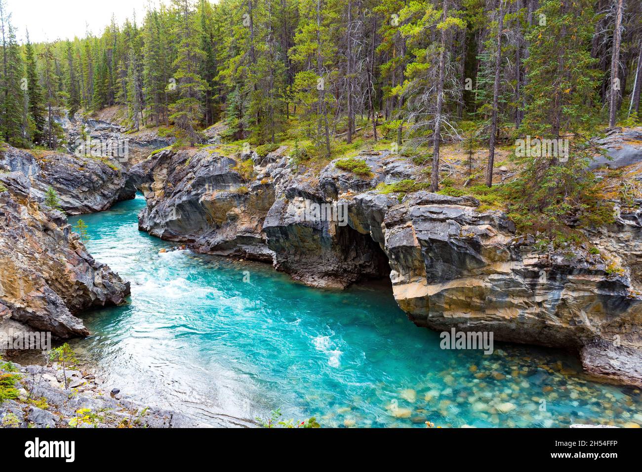 River to Siffleur Falls, bright blue turquoise teal crystal clear water, rocks visible under water, canyon cut through rocks, green needle trees Stock Photo