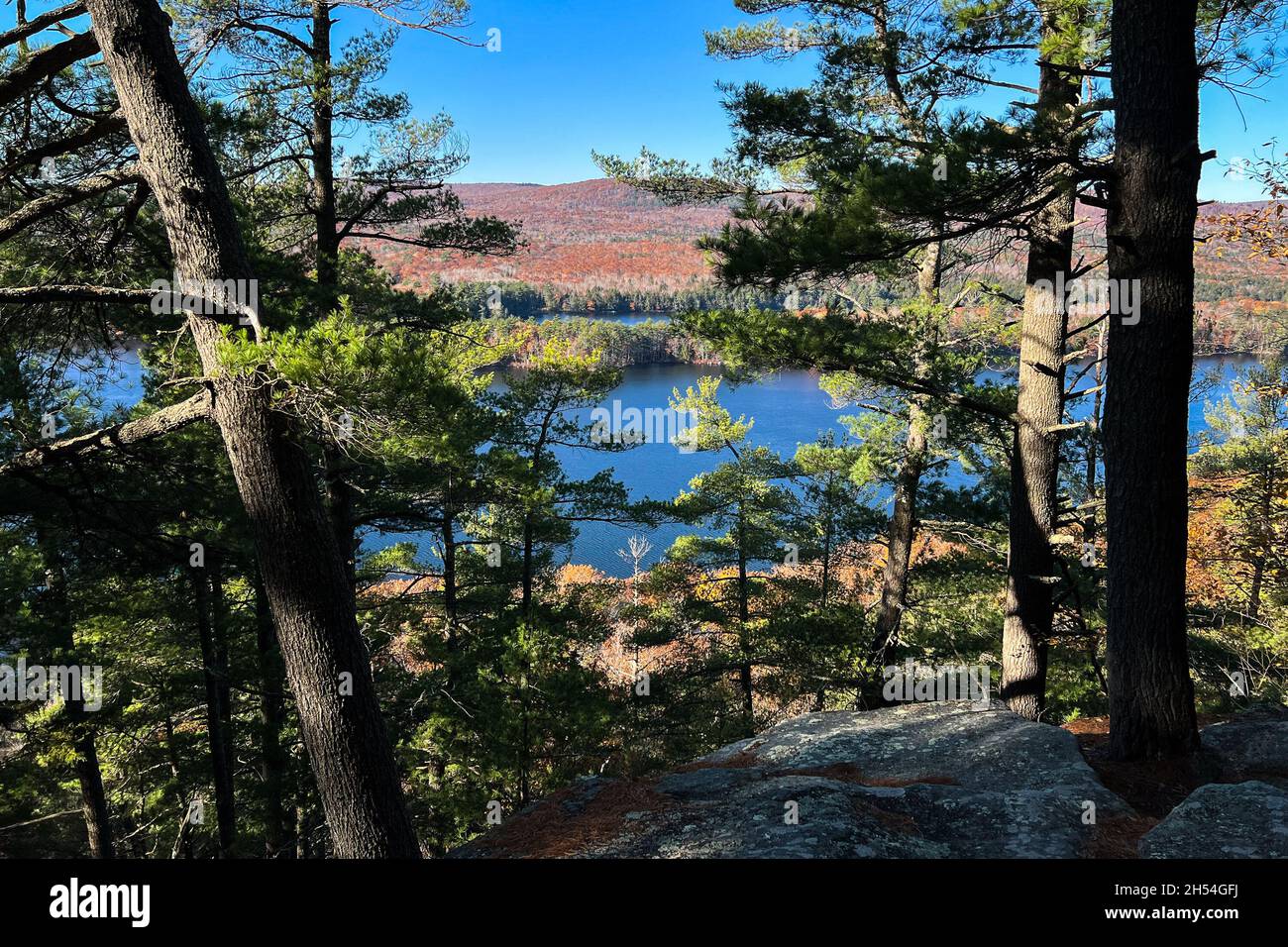 Where Is Rome Me Fall foliage surrounds the trails on The Mountain in Rome, Maine on Nov ...