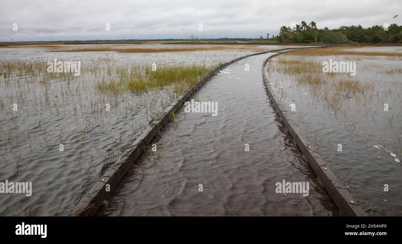 A boardwalk over the saltwater marsh during an extremely high tide in St. Augustine, Florida. Stock Photo