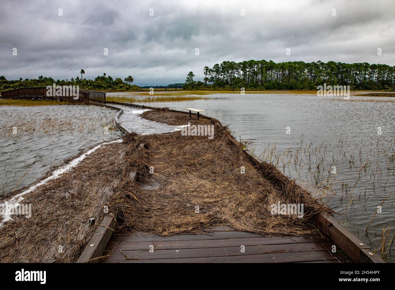 A boardwalk over the saltwater marsh during an extremely high tide in St. Augustine, Florida. Stock Photo