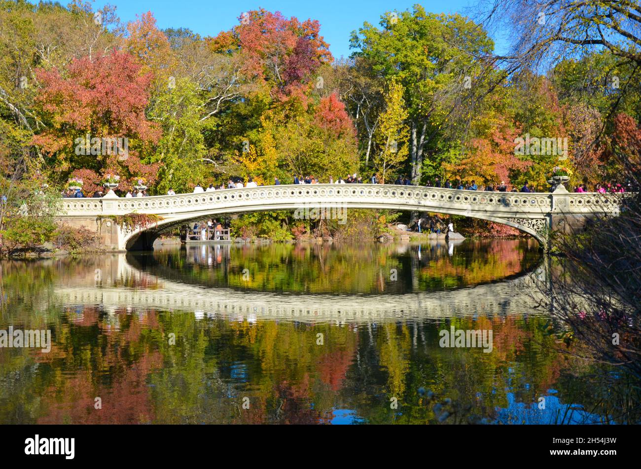 Colorful leaves are seen during fall foliage at Central Park in New