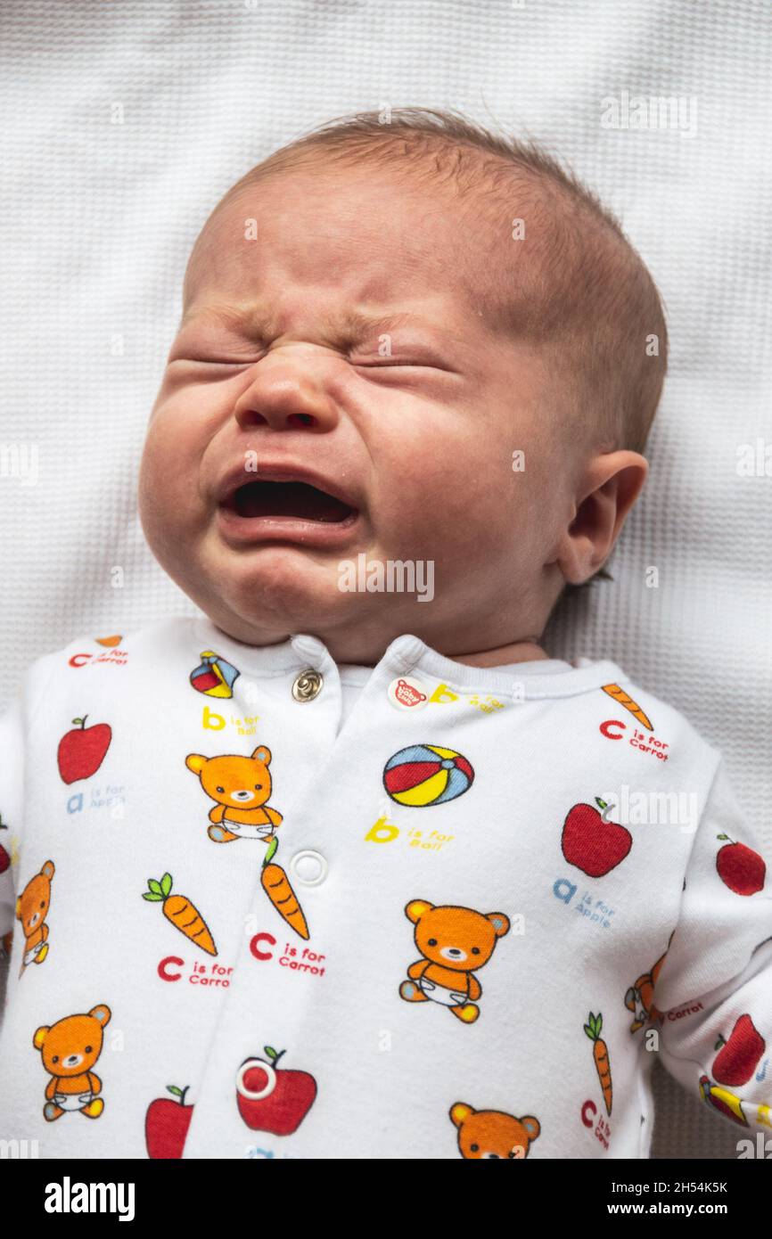 Newborn baby boy crying. Stock Photo