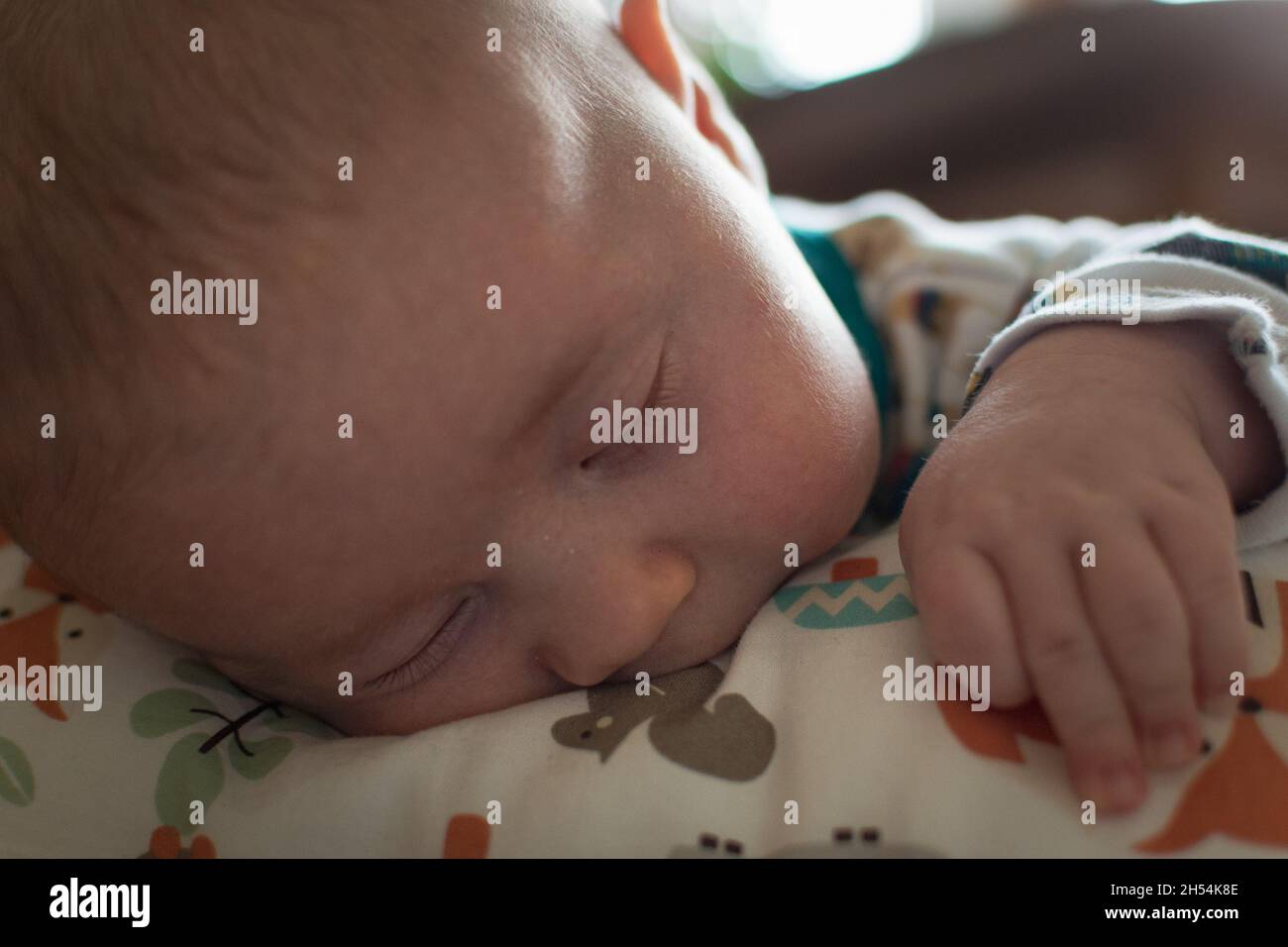 Newborn baby asleep on a nursing pillow during tummy time. Stock Photo