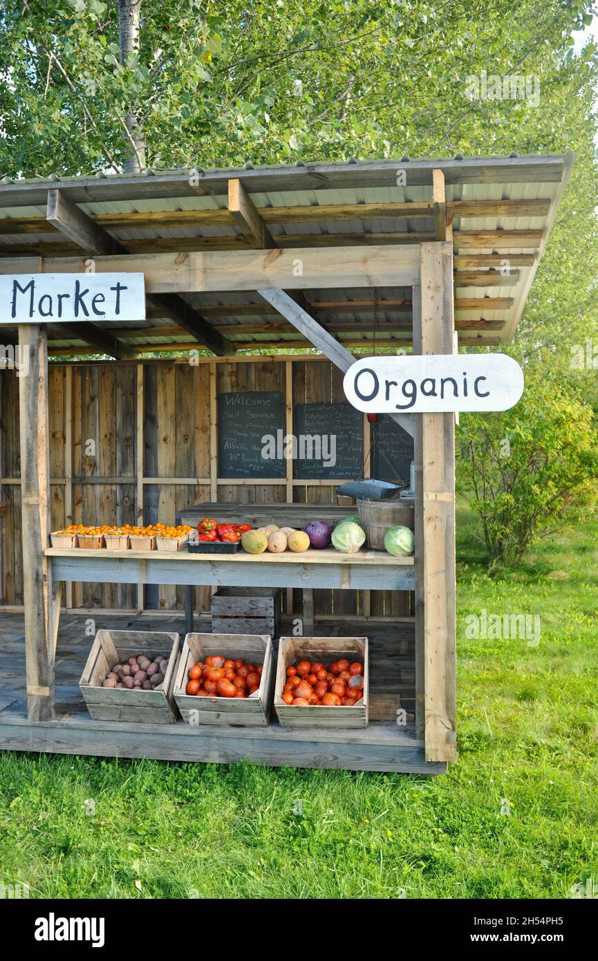 Community Farm Market roadside stand featuring fresh, local organic produce, Ashland, Wisconsin, USA Stock Photo