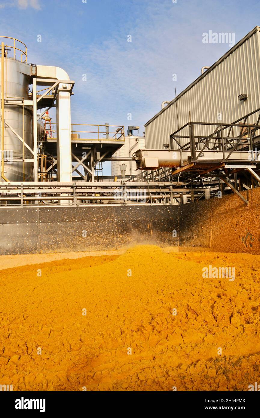 Wet distillers or wet cake grains at Adkins Energy Ethanol plant that turns corn into ethanol and other corn-based products, Lena, Illinois, USA Stock Photo