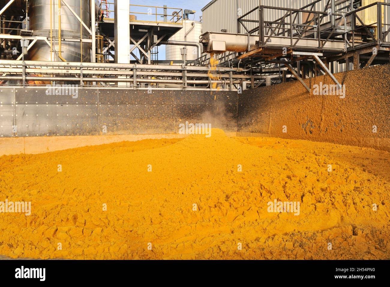 Wet Distillers Grain