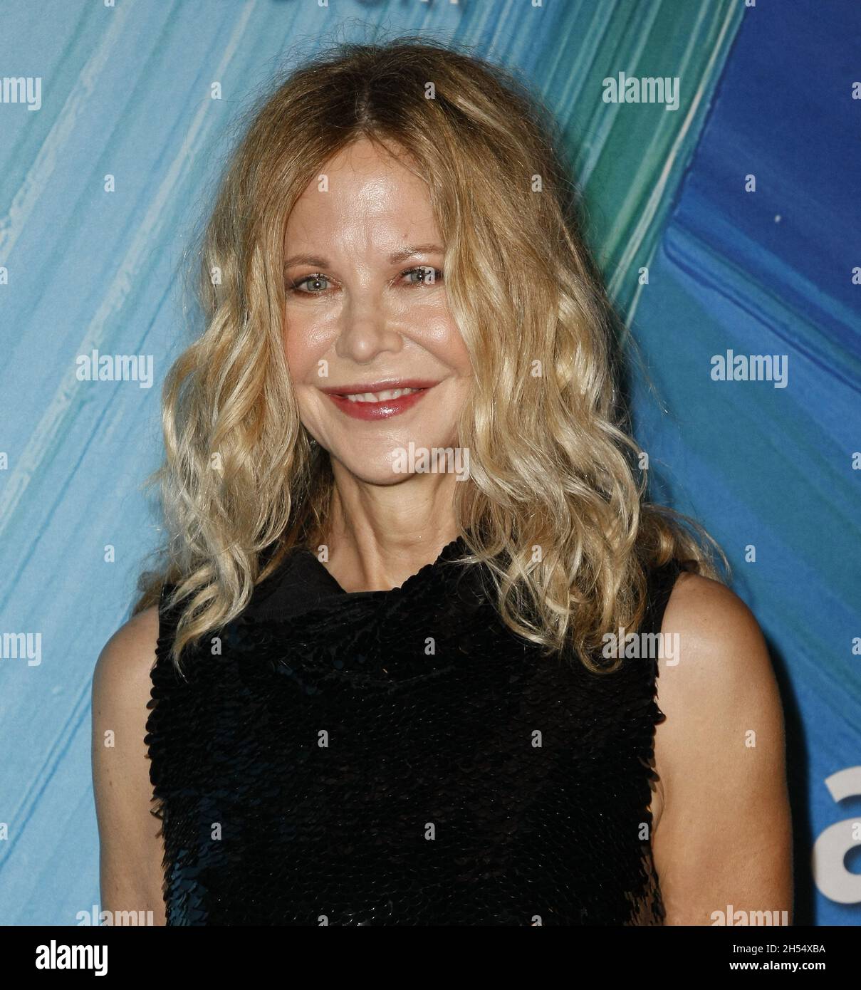 WEST HOLLYWOOD, CALIFORNIA - NOVEMBER 04: Meg Ryan attends the amfAR