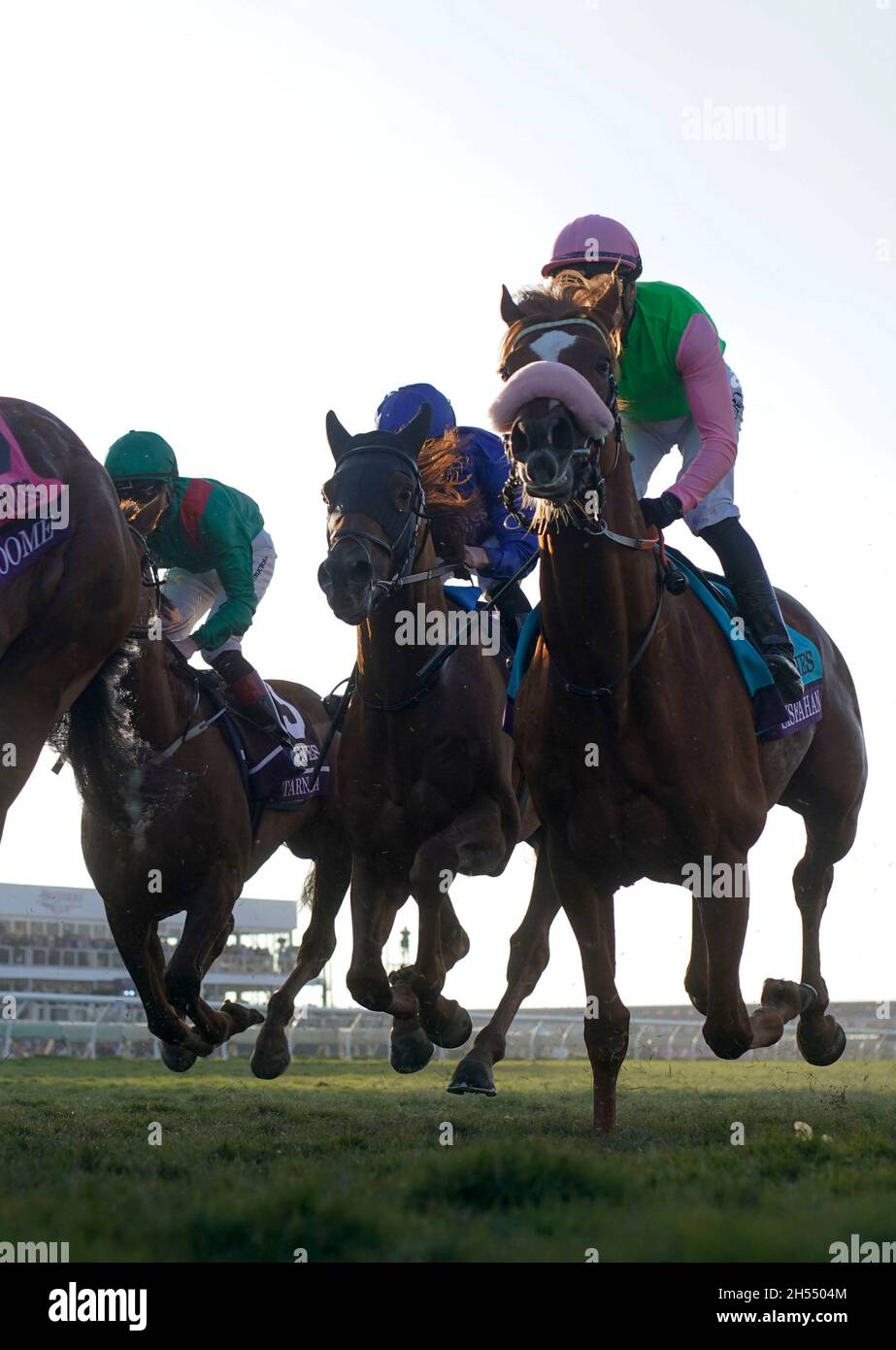 Del Mar, CA, USA. 6th Nov, 2021. Yibir (GB), ridden by William Buick, wins the Longines Breeders' Cup Turf on Breeders' Cup Championship Saturday at the Del Mar Thoroughbred Club on November 6, 2021: in Del Mar, California. 5a765e/Breeders' Cup/Eclipse Sportswire/CSM/Alamy Live News Stock Photo