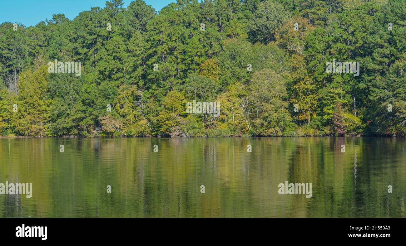 Beautiful view of Lake Claiborne State Park, in Homer, Claiborne Parish, Louisiana Stock Photo