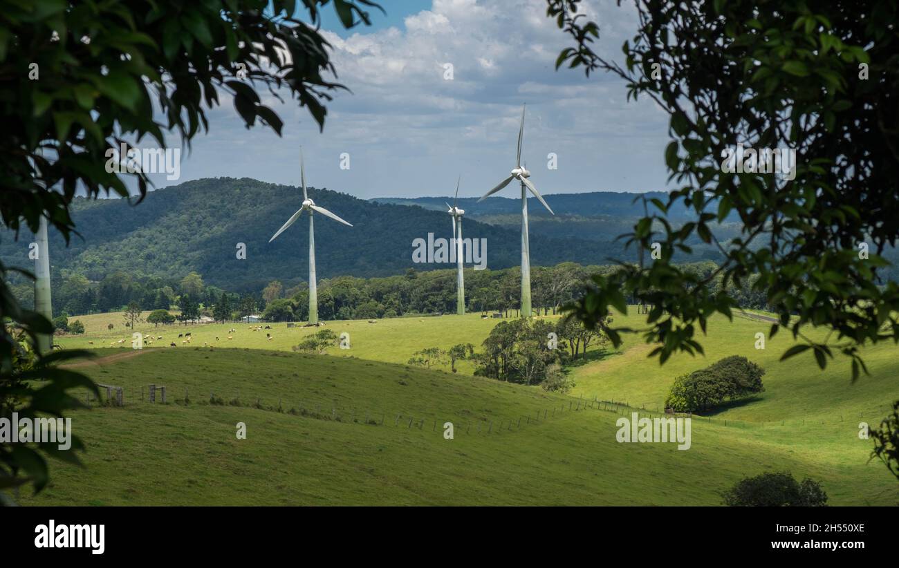 Windy Hill Wind Farm, Ravenshoe, Queensland, Australia Stock Photo Alamy