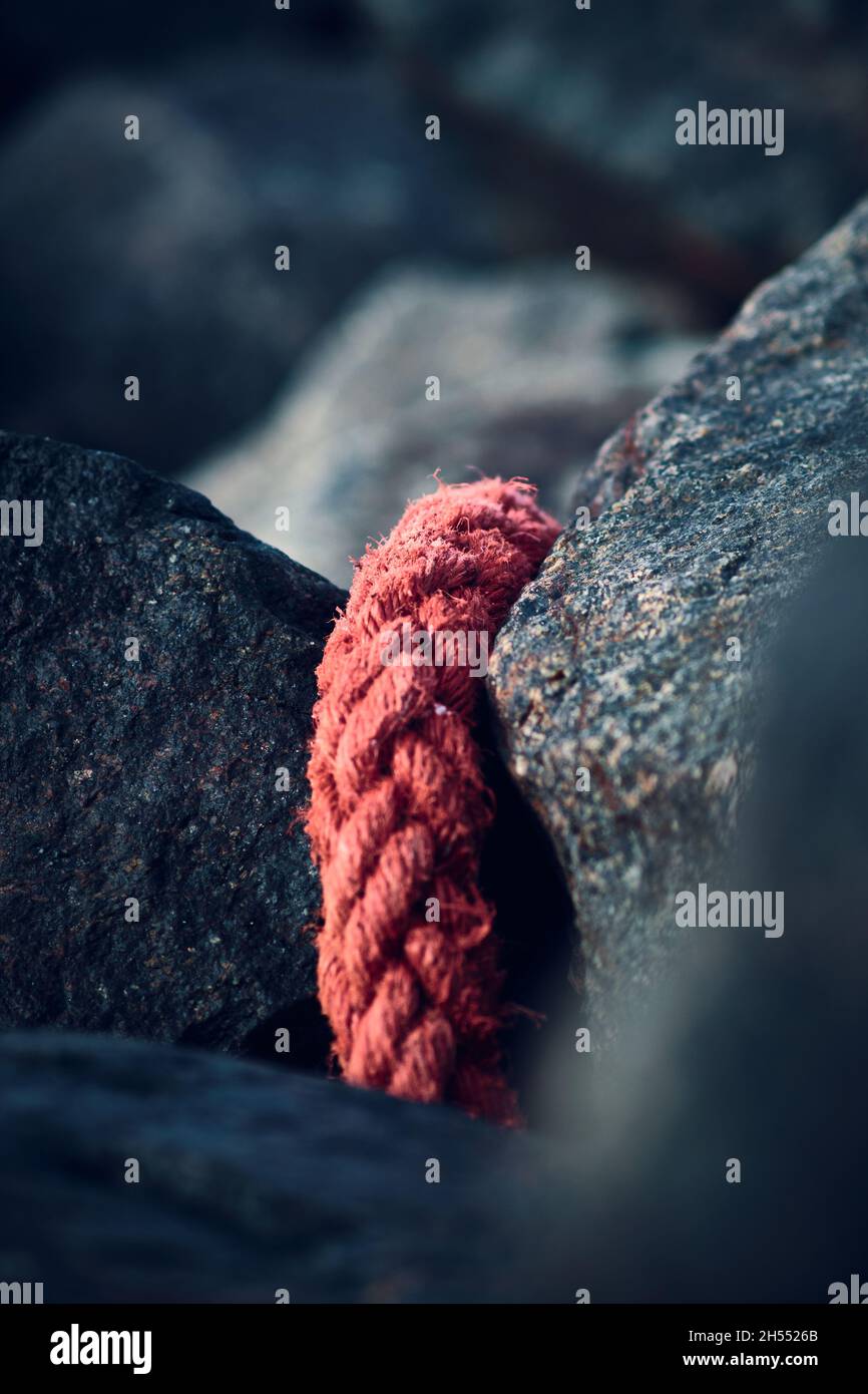 Washed Up Rope A red rope that was washed up ashore at the danish north sea coast ...