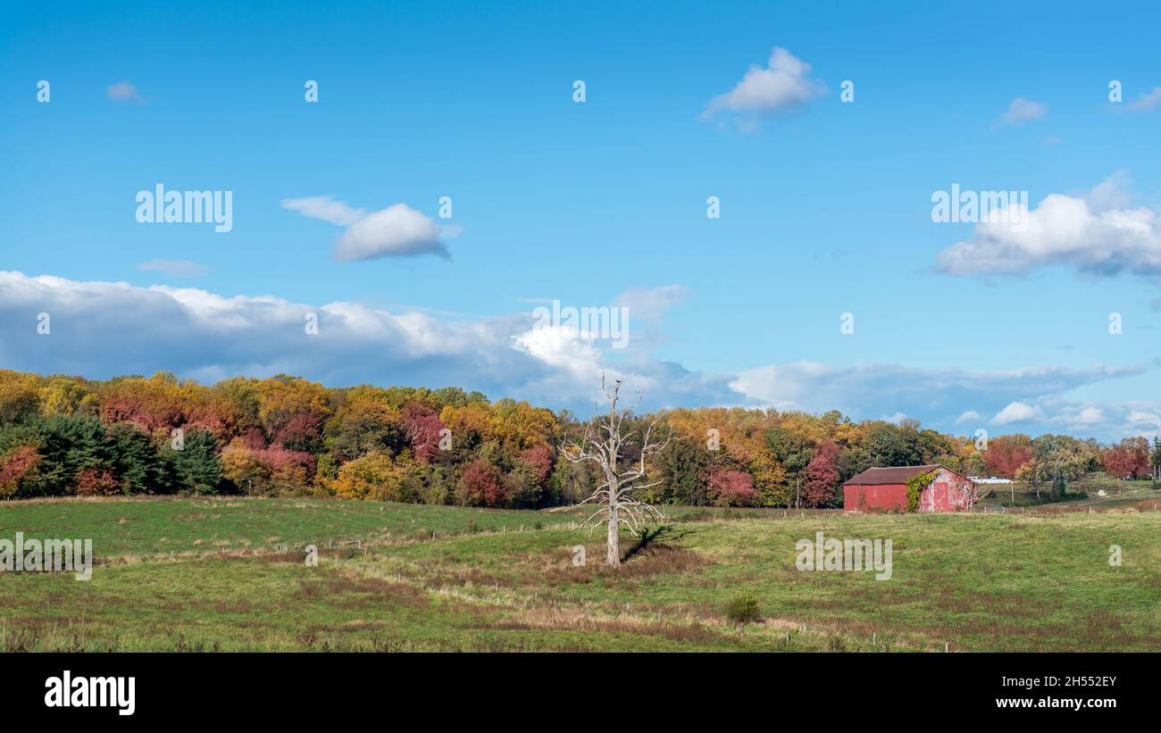 Farm landscape with an old rustic red barn in a field of grass in the ...