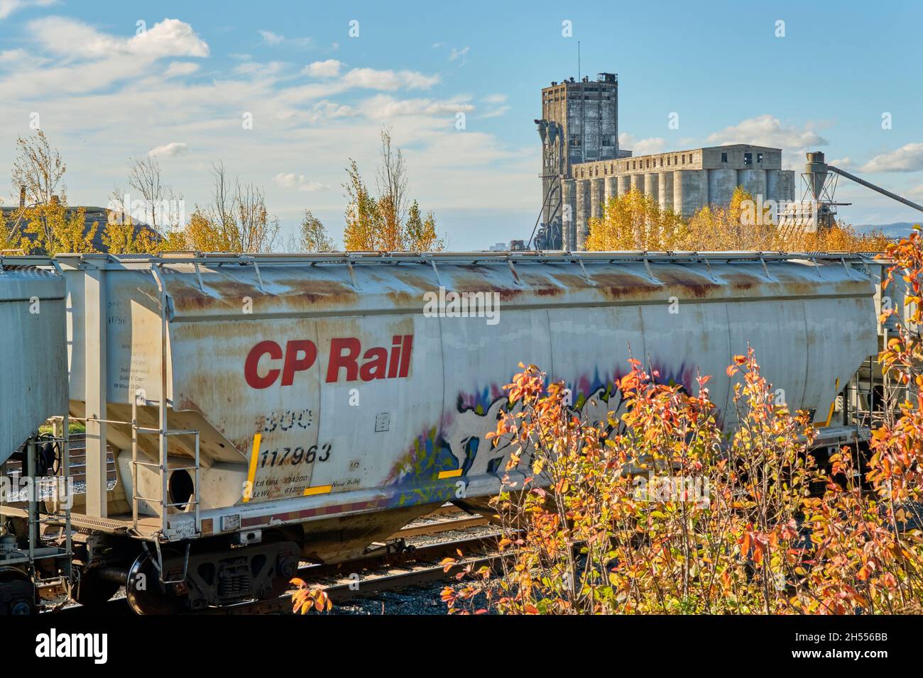 CP Rail grain cars parked on a siding near grain elevators on the