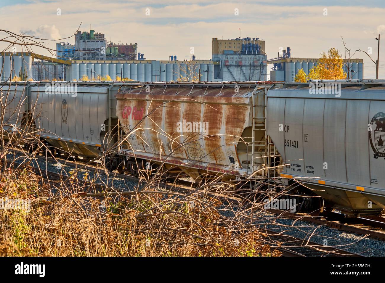 CP Rail grain cars parked on a siding near grain elevators on the Thunder Bay waterfront. Stock Photo