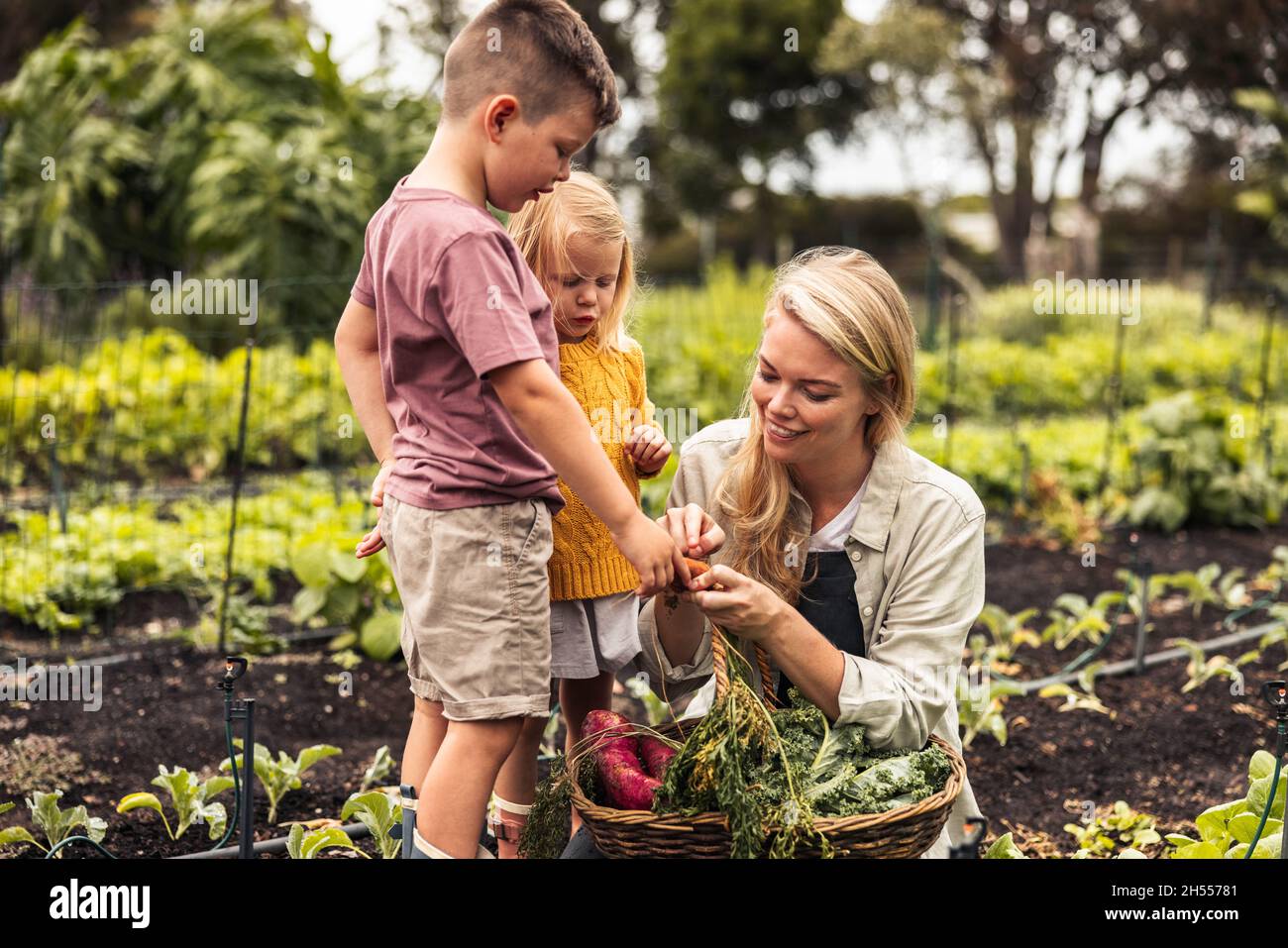 Cheerful young mother of two gathering fresh vegetables with her children. Young family